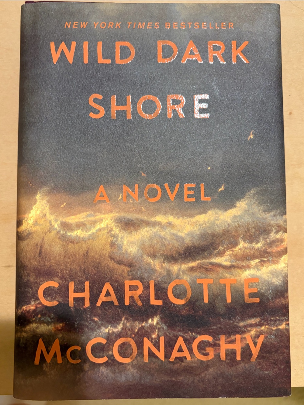 Wild Dark Shore by Charlotte McConaghy